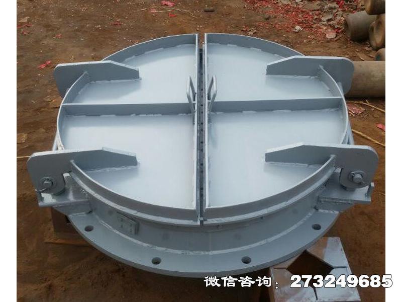 吉安铸铁钢制拍门